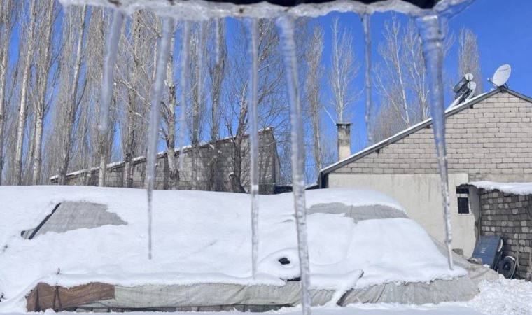 Ağrı'da kar yağışının ardından don etkili oldu