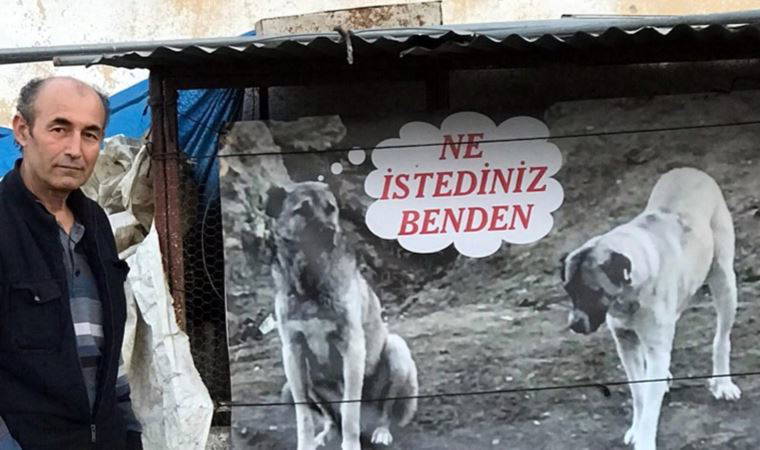 Köpeğinin zehirlenerek öldürülmesine pankartla tepki gösterdi: 'Ne istediniz benden'