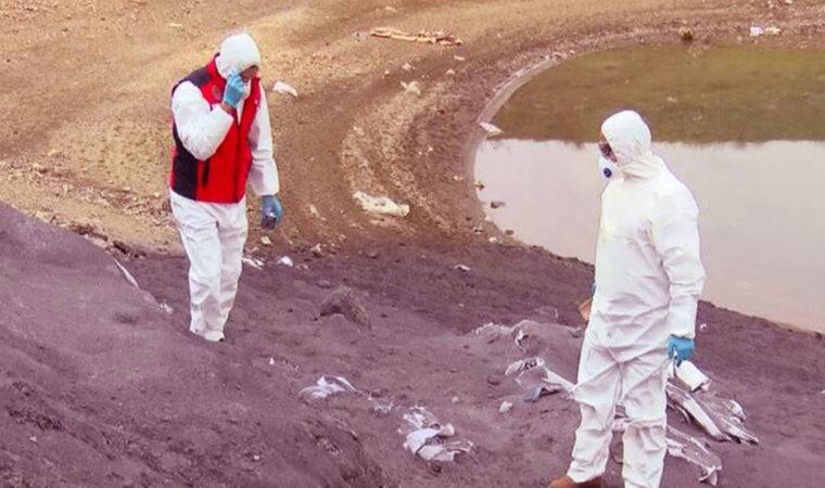 Arnavutköy'de kimyasal atık baraja karıştı: Bakanlık inceleme başlattı!