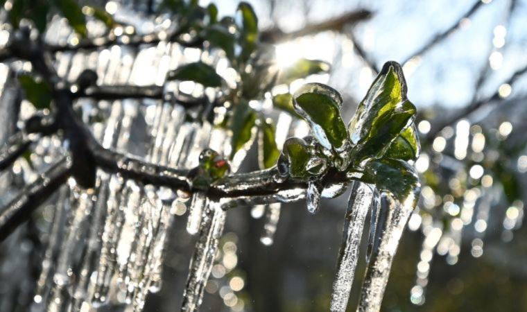 İtalya'ya gelen kutup havasına çözüm olarak buz koruması!