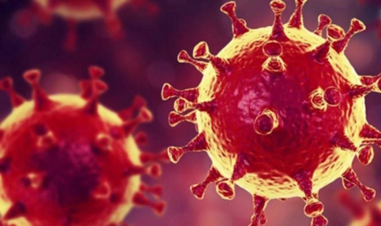 Bilim insanları yayımladı: Covid-19'un kökeni incelendi