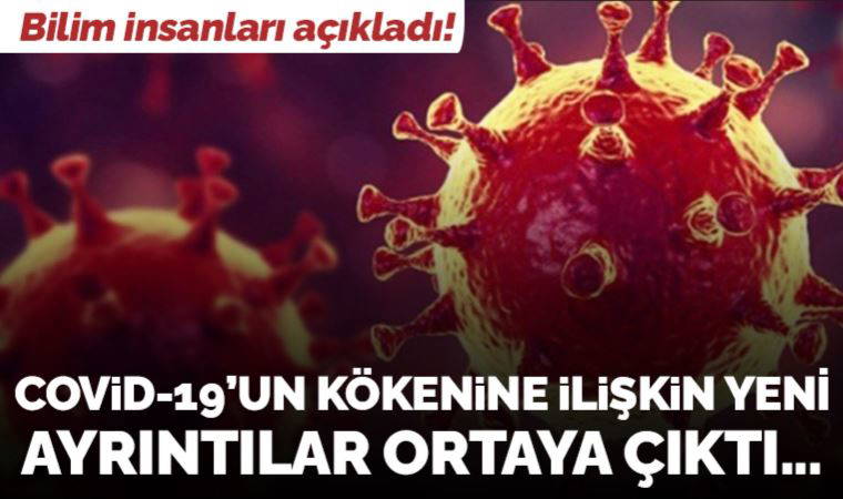 Bilim insanları yayımladı: Covid-19'un kökeni incelendi