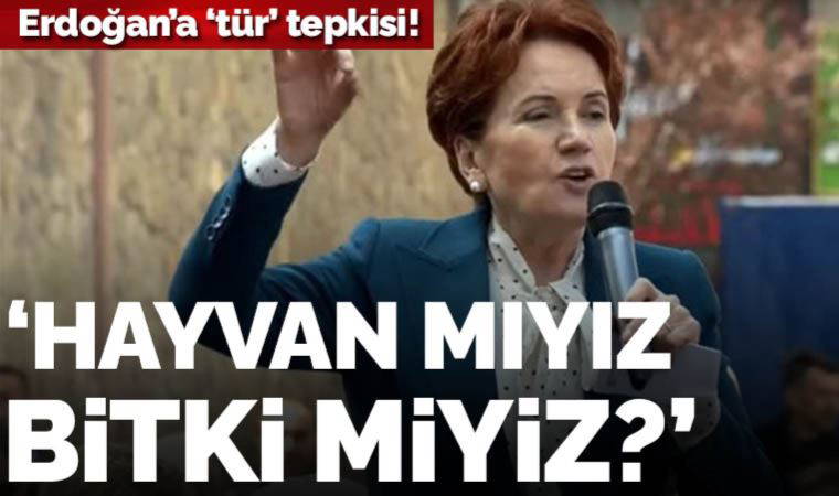 Erdoğan'ın Aleviler için 'tür' demesine Meral Akşener'den sert tepki