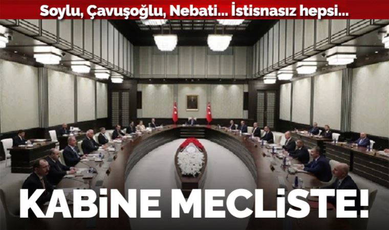 Cumhurbaşkanı Yardımcısı Oktay ve 15 bakan AKP’den milletvekili seçildi
