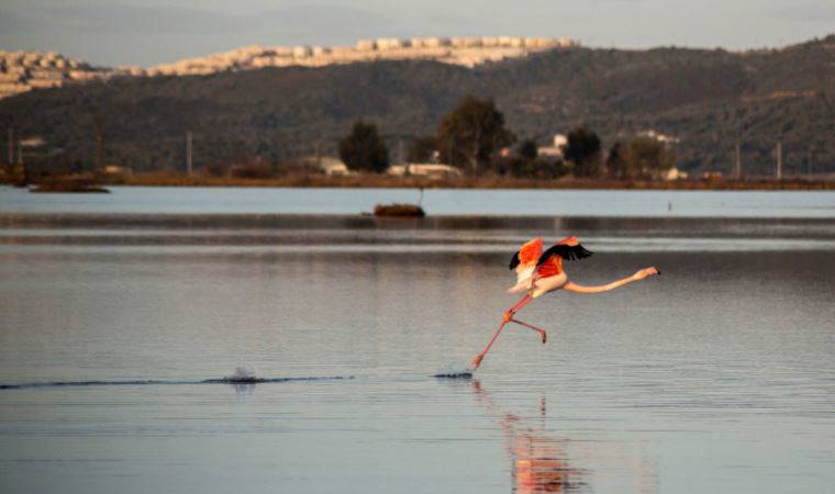 Mahkeme iptal etti, Ağaoğlu tekrar başvurdu