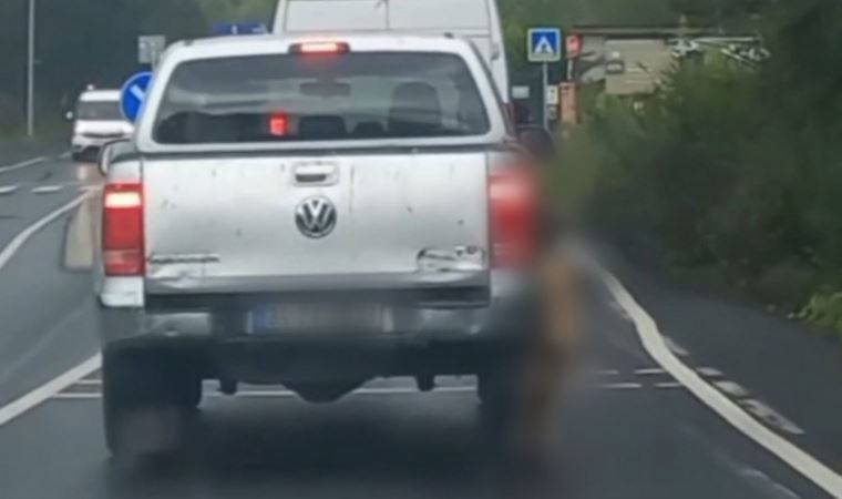 İstanbul'da infial yaratan olay! Pikapta asılı şekilde taşınan köpek görüntüsü tepkilere neden oldu
