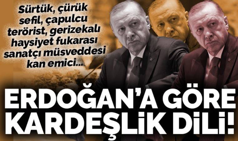 Erdoğan: Milletimizle hep kardeşliğin diliyle konuştuk