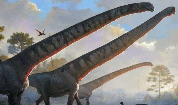 Dünyanın en büyük dinozor türü keşfedildi: Mavi balinayla aynı boyutta!