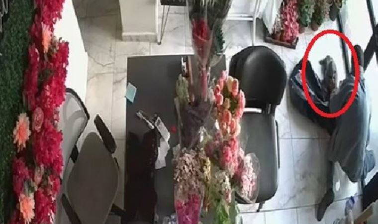 Hırsızlık için girdiği çiçekçiden kedi çaldı: 200 liraya sattı