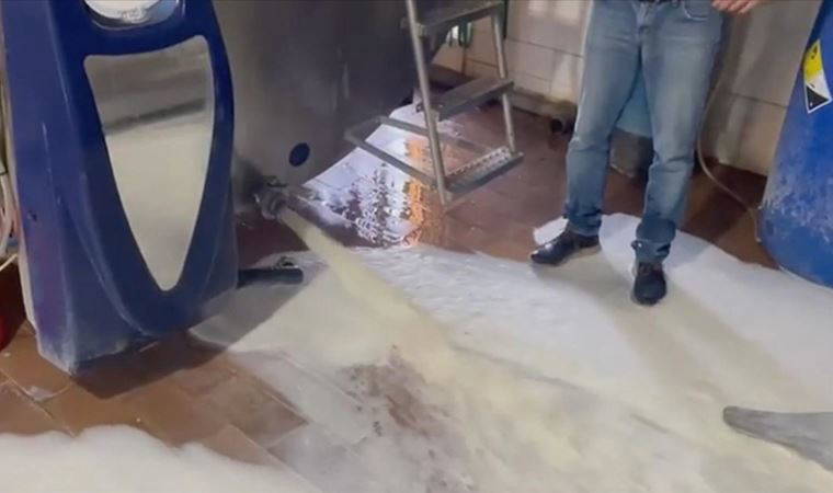 İspanya'da süt alım fiyatına tepki gösteren işletmeler sütlerini dökme eylemi başlattı