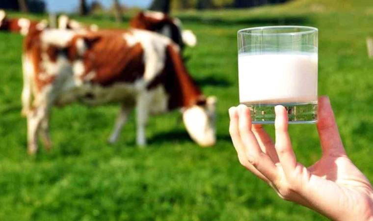 TÜİK açıkladı: 2022’de çiğ süt üretimi azaldı, kırmızı et üretimi arttı