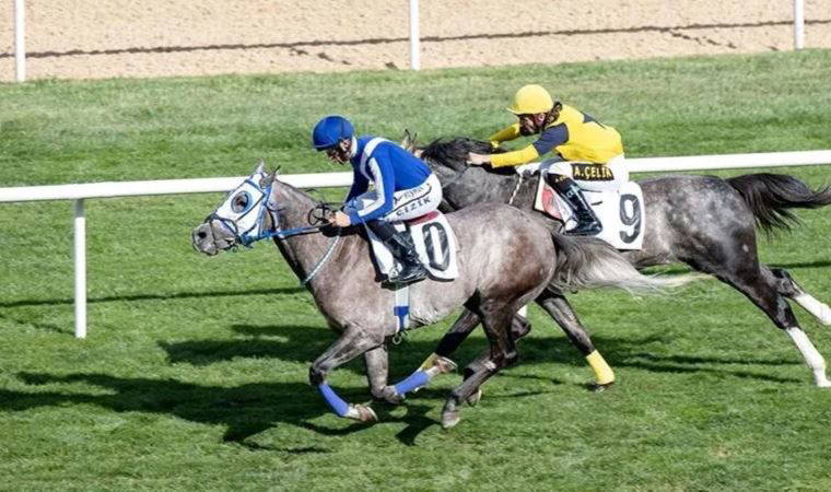 61. TBMM Koşusu'nu "Derya Ateşi" kazandı