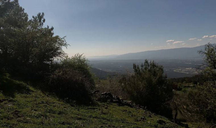 Giderayak satıyorlar: Milletin malı ihaleye çıkıyor!