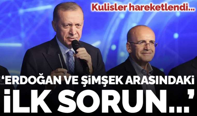 Erdoğan ve Mehmet Şimşek arasında yaşanacak ilk sorunu yazdı: 'Acı reçete yolda...'