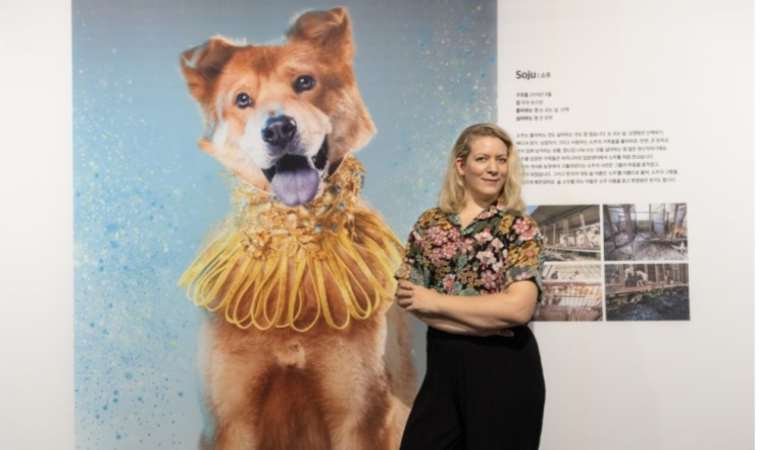 Kurtarılanlar sergisi