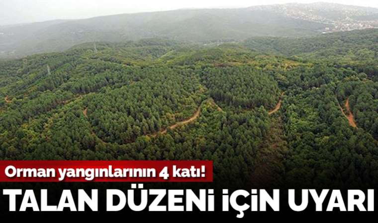 Türkiye Ormancılar Derneği Başkanı Hüsrev Özkara açıkladı... Ormanlardaki büyük tehlike: 'İmar rantı'