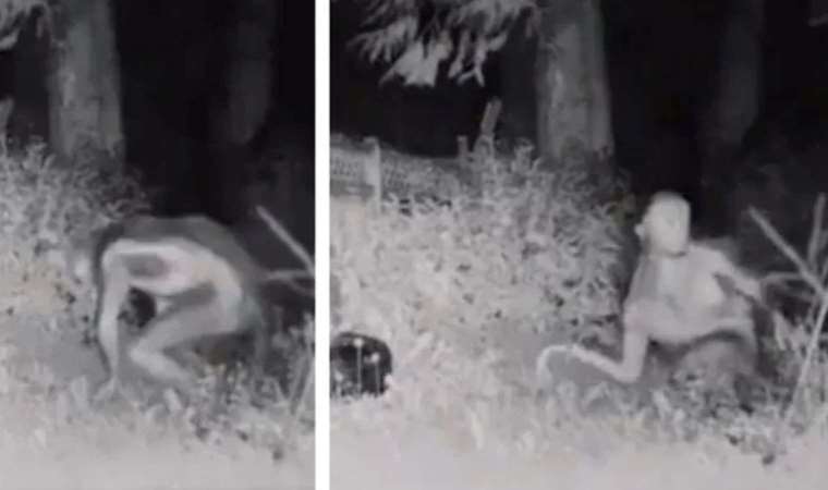 Sosyal medyada infial yaratmıştı... ABD'deki 'uzaylı' görüntüsü gerçek mi?