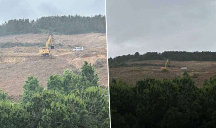 İstanbul'un en büyük yeşil alanlarından olan Maltepe Kışlası'nda ağaç katliamı