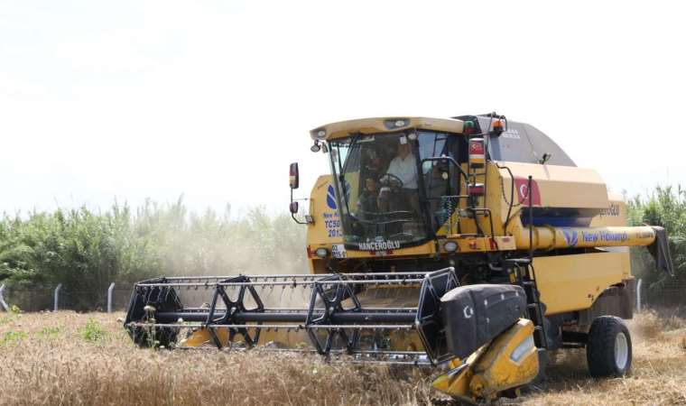 Didim’de ikinci kez buğday hasadı yapıldı