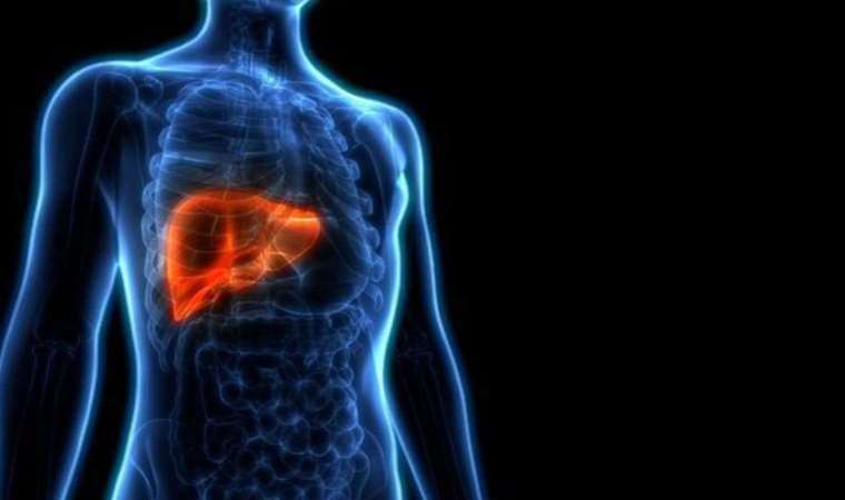 'Karaciğer metastazı başka bir kanser hastalığının ileriki evresini göstermektedir