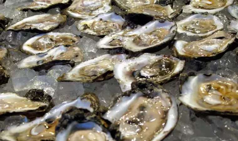 Son yemeği istiridye oldu