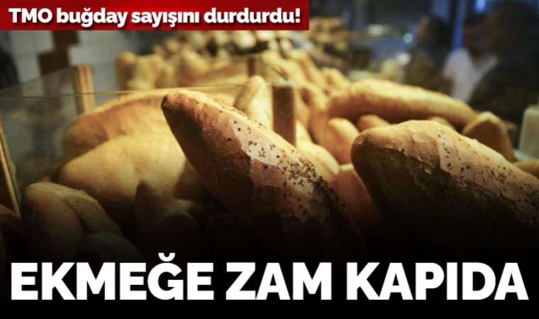 TMO buğday satışını durdurdu: Ekmeğe zam kapıda