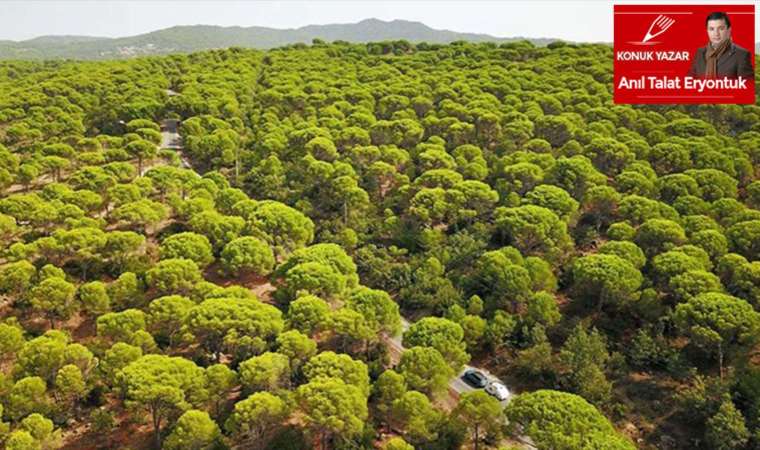 Bergama'da GES vahşeti