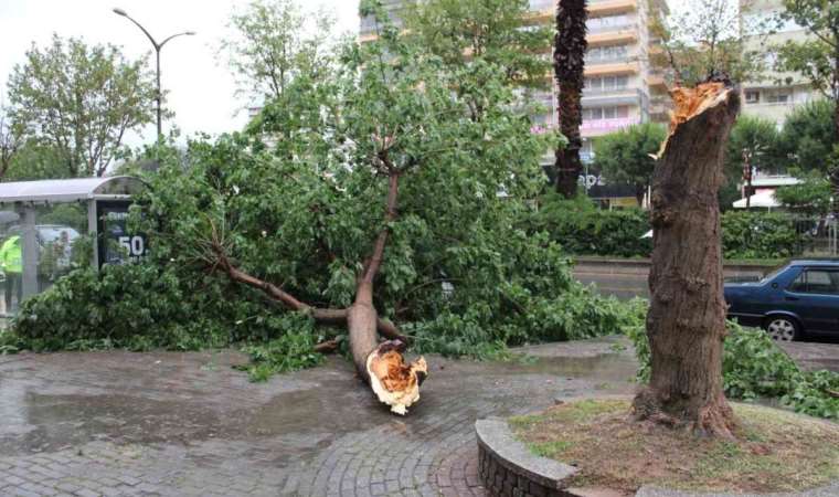 Sağanak yağış yolları göle çevirdi, ağaçları devirdi
