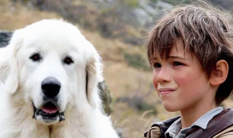 Belle Ve Sebastian filminin konusu ne? Belle Ve Sebastian filmi oyuncuları kimler?