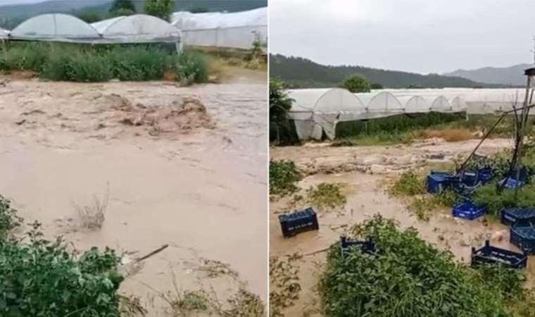 Bilecik’te sağanak: Seralar su altında kaldı!