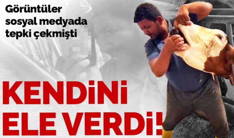 Mersin'de büyükbaş hayvana içki şişesinde sıvı veren kişiye para cezası