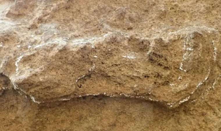 Güney Afrika'da bulundu, yaşı şaşırttı!