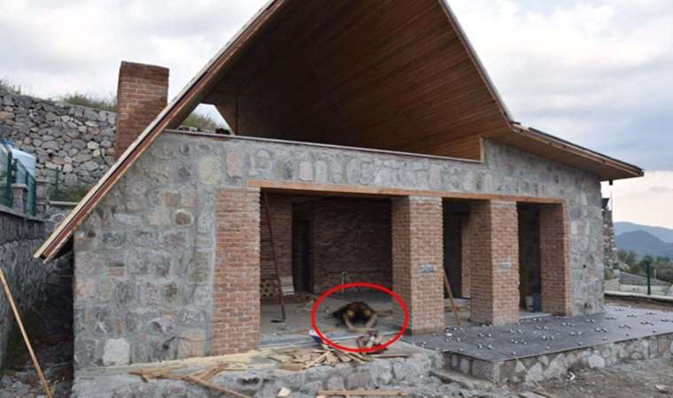 İzmir'de dehşet: Ateş ederek öldürdü, cesedini ateşe verdi