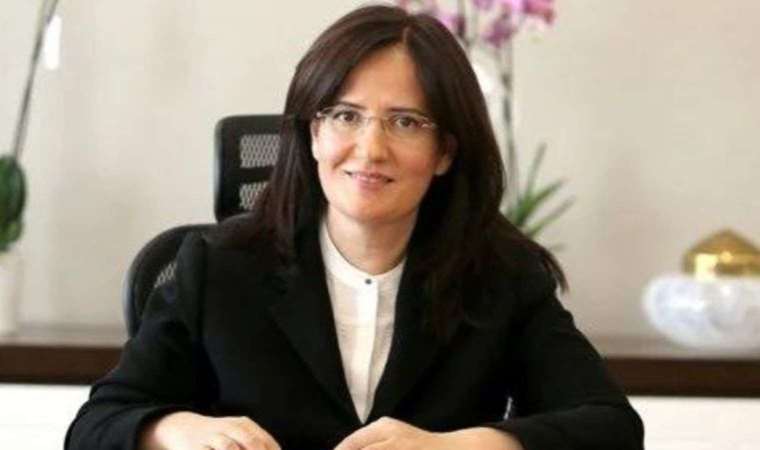 Fatma Varank kimdir? Yeni Çevre,Şehircilik ve İklim Değişikliği Bakanlığı Bakan Yardımcısı Fatma Varank kaç yaşında, nereli?