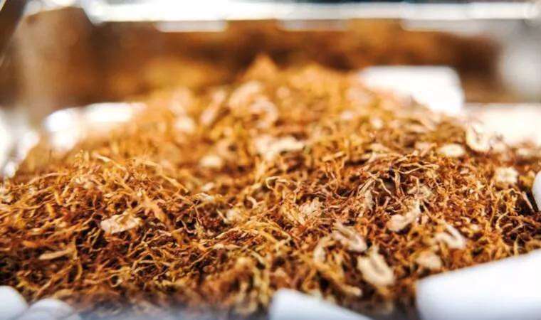 Sağlık örgütlerinden tütün tekellerinin 'yasa dışı, kapı dışı' kampanyasına tepki: 'Kuzuyu kurda teslim etmeyeceğiz!'