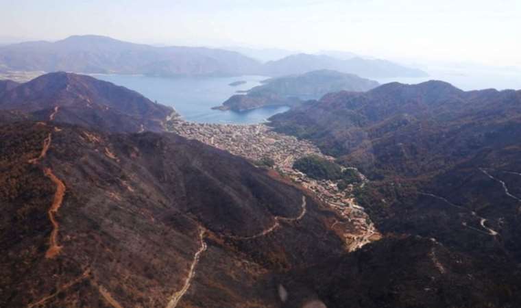 CHP’li Özcan: Muğla’nın orman varlığı yüzde 60’a düştü