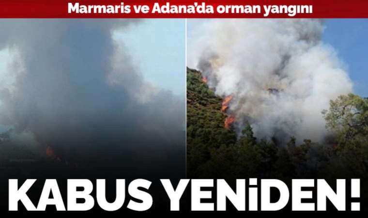 Kabus yeniden başladı: Marmaris ve Adana'da orman yangını