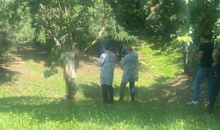 D100 karayolu üzerinde şüpheli ölüm: Ağaca asılı halde bulundu