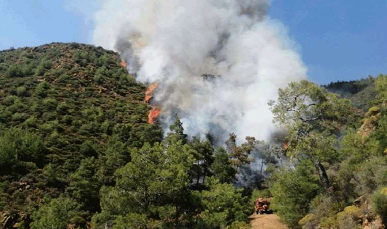 Marmaris'teki orman yangınının arkasından cinayet çıktı: Skandal olayda yeni gelişme!