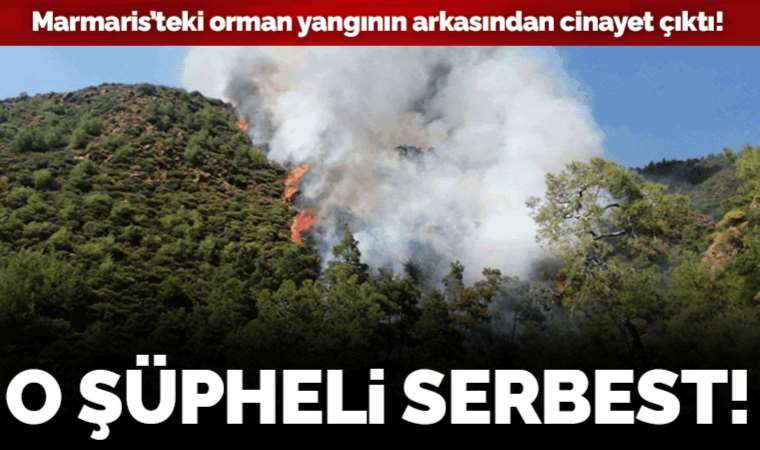 Marmaris'teki orman yangınının arkasından cinayet çıktı: Skandal olayda yeni gelişme!