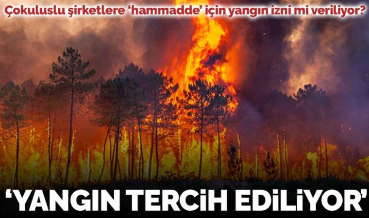 Tarım Orman-İş Başkanı Durmuş, çokuluslu şirketlere hammadde için yangına izin verildiğini söyledi: Bakanlığın tercihi