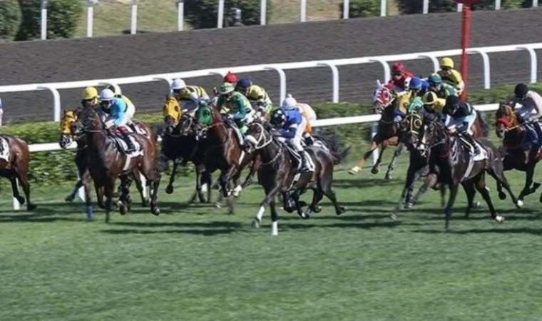 97. Gazi Koşusu ne zaman, saat kaça, hangi kanalda? Gazi Koşusu'nda hangi atlar yarışacak? Gazi Koşusu ödülü ne?