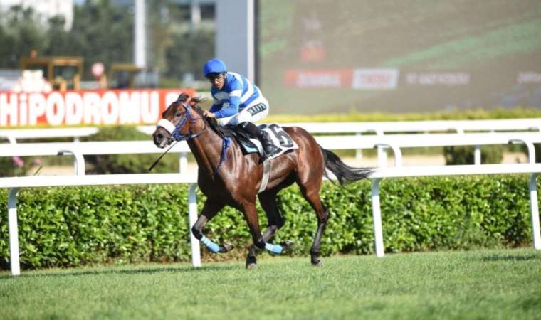 Son Dakika: 97. Gazi Koşusu'nda zafer Urfa Aslanı'nın oldu