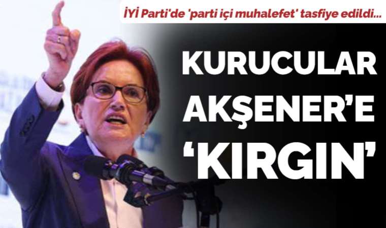 İYİ Parti'de 'parti içi muhalefet' tasfiye edildi: Kurucular Meral Akşener'e 'kırgın'