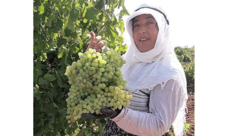 Karaciğer nakli yapılan kadın evinde ölü bulundu