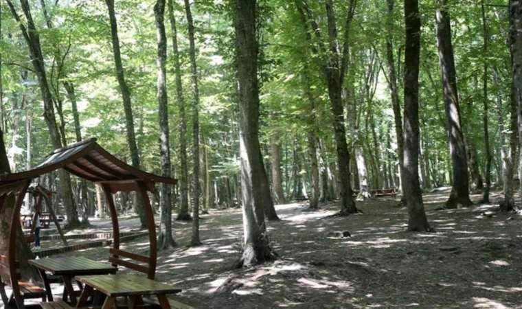 Edirne’de ormanlık alanlara girişler yasaklandı
