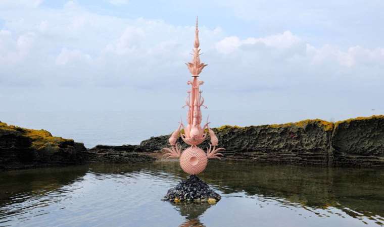 Sanatçı Alper Aydın’ın ‘Fata Morgana’ isimli sergisi, şehir ve onun güzellikleriyle iç içe: Ordu’da bir ‘doğa olayı’