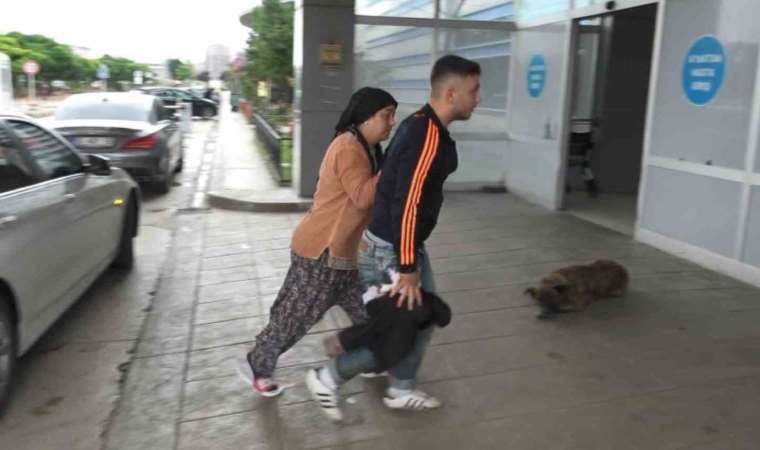 Acemi kasaplar hastanelik oldu