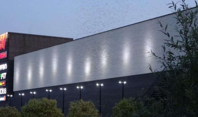 Kocaeli'nde alışveriş merkezini sivrisinekler bastı