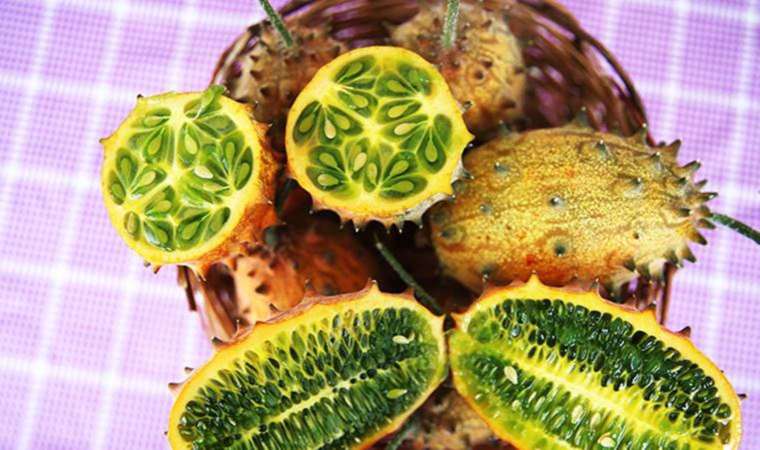 Deneme amaçlı ekti, tanesini 30 liradan satıyor: Boynuzlu kavun kiwano